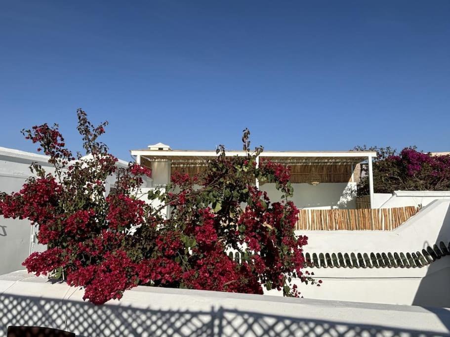 Neroli Le Riad, Idealement Situe Marrakesh Exterior photo